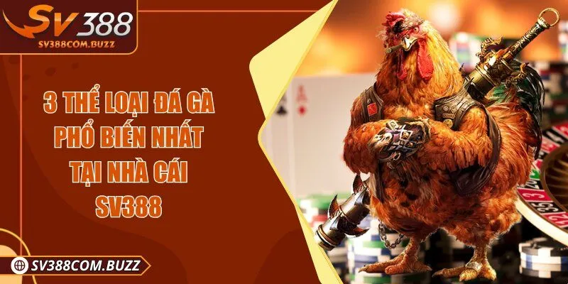 3 thể loại đá gà phổ biến nhất tại nhà cái SV388